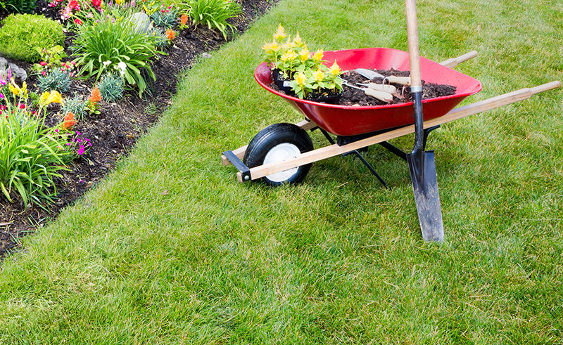 Anlägga Trädgård, Häckar, Rabatter