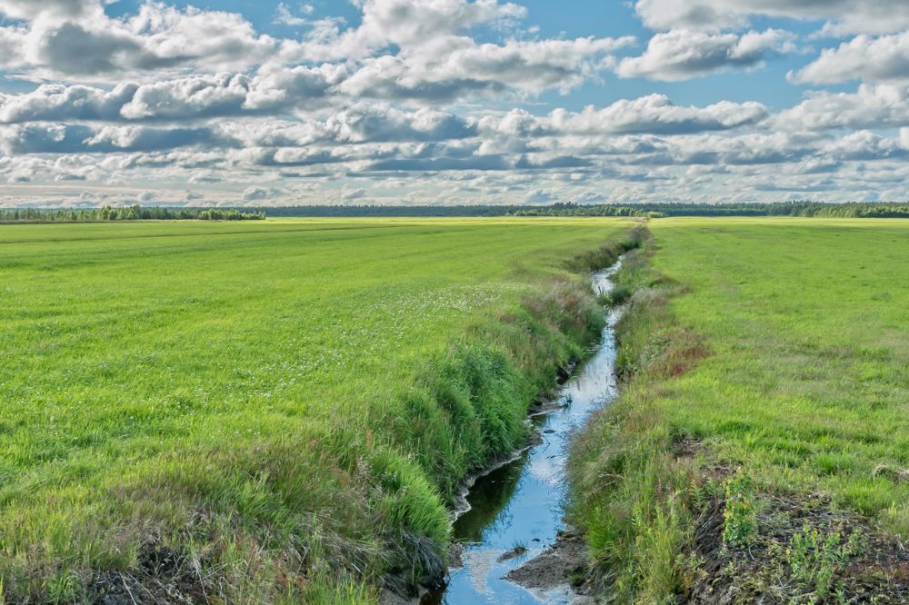 Dikning, Dikesrensning & Markavvattning